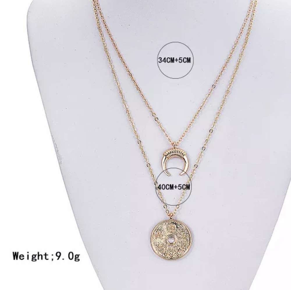 Layered Coin Necklace - Picture 3 of 3